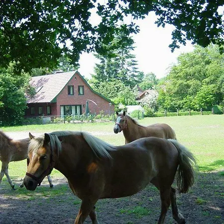 Prázdninový dům Bernard Meyborg Lindern
